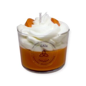 Vela Decorada MANGO&PAPAYA