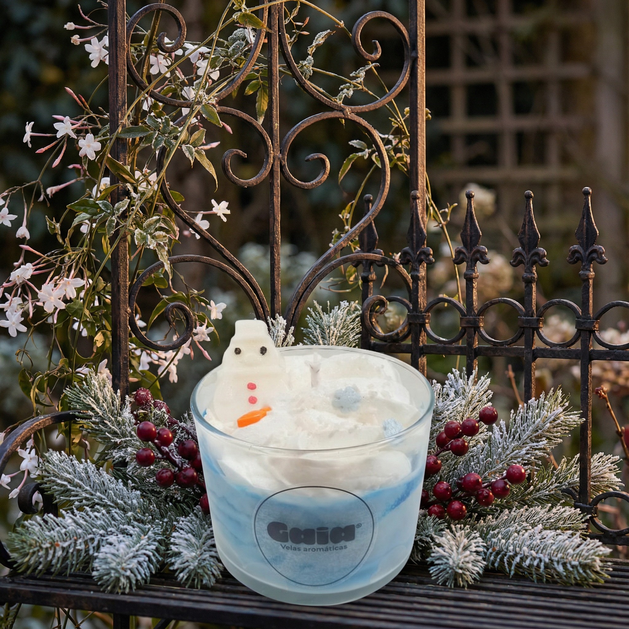 Fondo Fin de Año (3)